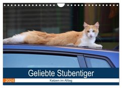 Geliebte Stubentiger - Katzen im Alltag (Wandkalender 2024 DIN A4 quer), CALVENDO Monatskalender - Bartruff, Thomas