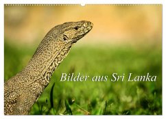 Bilder aus Sri Lanka (Wandkalender 2024 DIN A2 quer), CALVENDO Monatskalender - Ziemer, Astrid
