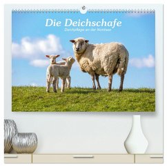 Die Deichschafe. Deichpflege an der Nordsee (hochwertiger Premium Wandkalender 2024 DIN A2 quer), Kunstdruck in Hochglanz - Dreegmeyer, Andrea
