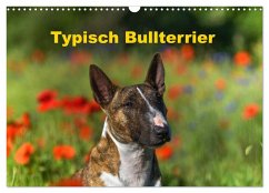 Typisch Bullterrier (Wandkalender 2024 DIN A3 quer), CALVENDO Monatskalender