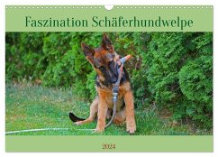 Faszination Schäferhundwelpe (Wandkalender 2024 DIN A3 quer), CALVENDO Monatskalender