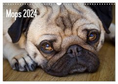 Mops 2024 (Wandkalender 2024 DIN A3 quer), CALVENDO Monatskalender