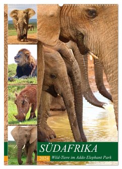 SÜDAFRIKA Wild-Tiere im Addo Elephant Park (Wandkalender 2024 DIN A2 hoch), CALVENDO Monatskalender