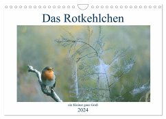 Das Rotkehlchen, ein Kleiner ganz Groß (Wandkalender 2024 DIN A4 quer), CALVENDO Monatskalender