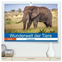 Wunderwelt der Tiere - Südafrika (hochwertiger Premium Wandkalender 2024 DIN A2 quer), Kunstdruck in Hochglanz