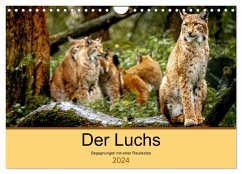 Der Luchs - Begegnungen mit einer Raubkatze (Wandkalender 2024 DIN A4 quer), CALVENDO Monatskalender