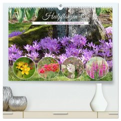 Heilpflanzen - Schätze im Garten (hochwertiger Premium Wandkalender 2024 DIN A2 quer), Kunstdruck in Hochglanz - Kruse, Gisela