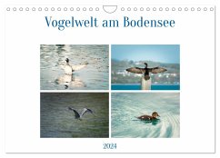 Vogelwelt am Bodensee 2024 (Wandkalender 2024 DIN A4 quer), CALVENDO Monatskalender - kaufmann Fotos, Ralf