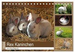 Rex - Kaninchen (Tischkalender 2024 DIN A5 quer), CALVENDO Monatskalender