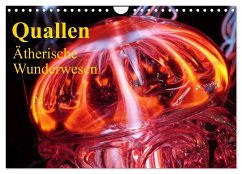 Quallen ¿ Ätherische Wunderwesen (Wandkalender 2024 DIN A4 quer), CALVENDO Monatskalender - Stanzer, Elisabeth