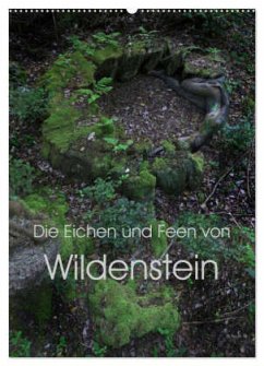 Die Eichen und Feen von Wildenstein (Wandkalender 2024 DIN A2 hoch), CALVENDO Monatskalender