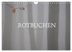 Rotbuchen (Wandkalender 2024 DIN A4 quer), CALVENDO Monatskalender - Weise, Ralf
