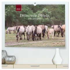 Dülmener Pferde, wild und schön (hochwertiger Premium Wandkalender 2024 DIN A2 quer), Kunstdruck in Hochglanz