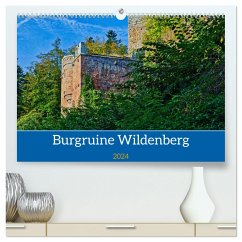 Burg Wildenberg (hochwertiger Premium Wandkalender 2024 DIN A2 quer), Kunstdruck in Hochglanz - Kreuzer, Siegfried
