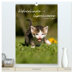 Katzenkinder - Impressionen (hochwertiger Premium Wandkalender 2024 DIN A2 hoch), Kunstdruck in Hochglanz