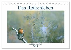 Das Rotkehlchen, ein Kleiner ganz Groß (Tischkalender 2024 DIN A5 quer), CALVENDO Monatskalender