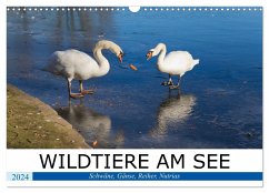 WILDTIERE AM SEE (Wandkalender 2024 DIN A3 quer), CALVENDO Monatskalender - boeTtchEr, U