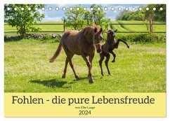 Fohlen - die pure Lebensfreude (Tischkalender 2024 DIN A5 quer), CALVENDO Monatskalender