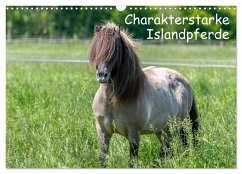Charakterstarke Islandpferde (Wandkalender 2024 DIN A3 quer), CALVENDO Monatskalender
