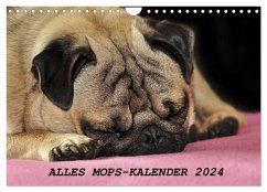 Alles Mops-Kalender 2024 (Wandkalender 2024 DIN A4 quer), CALVENDO Monatskalender - Hofmann, Sonja