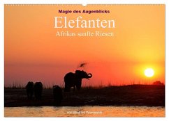 Magie des Augenblicks - Elefanten - Afrikas sanfte Riesen (Wandkalender 2024 DIN A2 quer), CALVENDO Monatskalender