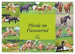 Pferde im Passeiertal (Wandkalender 2024 DIN A4 quer), CALVENDO Monatskalender - Pixner, Markus