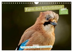 Egon der Eichelhäher - Durch das Jahr mit Egon - von Ostfriesenfotografie (Wandkalender 2024 DIN A4 quer), CALVENDO Monatskalender