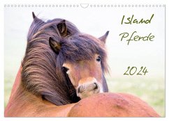 Islandpferde (Wandkalender 2024 DIN A3 quer), CALVENDO Monatskalender - Gimpel, Frauke