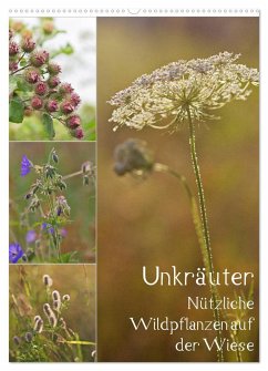 Unkräuter - Nützliche Wildpflanzen auf der Wiese (Wandkalender 2024 DIN A2 hoch), CALVENDO Monatskalender - Drachenkind-Fotografie