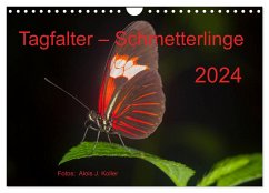 Tagfalter Schmetterlinge (Wandkalender 2024 DIN A4 quer), CALVENDO Monatskalender - J. Koller 4pictures.ch, Alois