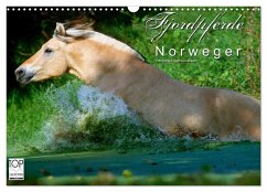 Fjordpferde - Norweger (Wandkalender 2024 DIN A3 quer), CALVENDO Monatskalender