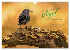 Bunte Vögel am Futterplatz (Wandkalender 2024 DIN A4 quer), CALVENDO Monatskalender