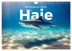 Haie - Könige der Meere. (Wandkalender 2024 DIN A4 quer), CALVENDO Monatskalender