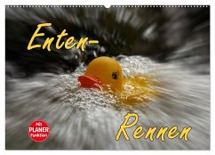 Enten-Rennen (Wandkalender 2024 DIN A2 quer), CALVENDO Monatskalender