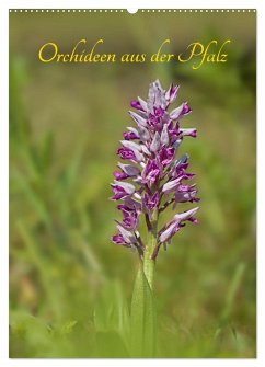 Orchideen aus der Pfalz (Wandkalender 2024 DIN A2 hoch), CALVENDO Monatskalender