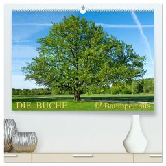 Die Buche: 12 Baumporträts (hochwertiger Premium Wandkalender 2024 DIN A2 quer), Kunstdruck in Hochglanz
