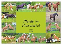 Pferde im Passeiertal (Wandkalender 2024 DIN A2 quer), CALVENDO Monatskalender