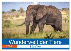 Wunderwelt der Tiere - Südafrika (Wandkalender 2024 DIN A4 quer), CALVENDO Monatskalender