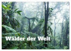 Wälder der Welt (Wandkalender 2024 DIN A2 quer), CALVENDO Monatskalender