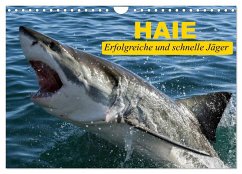 Haie. Erfolgreiche und schnelle Jäger (Wandkalender 2024 DIN A4 quer), CALVENDO Monatskalender