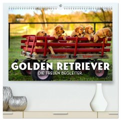 Golden Retriever - Die treuen Begleiter. (hochwertiger Premium Wandkalender 2024 DIN A2 quer), Kunstdruck in Hochglanz