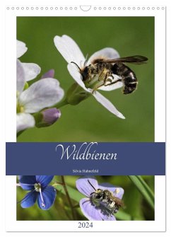 Wildbienen-Terminplaner 2024 (Wandkalender 2024 DIN A3 hoch), CALVENDO Monatskalender