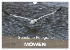 Spontane Fotografie - Möwen (Wandkalender 2024 DIN A4 quer), CALVENDO Monatskalender - MP, Melanie