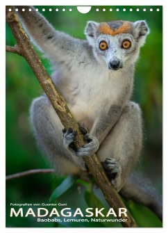 MADAGASKAR: Baobabs, Lemuren, Naturwunder (Wandkalender 2024 DIN A4 hoch), CALVENDO Monatskalender - Guni, Guenter