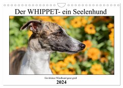 Der Whippet - ein Seelenhund (Wandkalender 2024 DIN A4 quer), CALVENDO Monatskalender - Hofmann, Petra