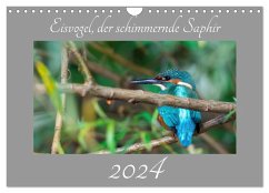 Eisvogel, der schimmernde Saphir (Wandkalender 2024 DIN A4 quer), CALVENDO Monatskalender - Danielwayfotografie