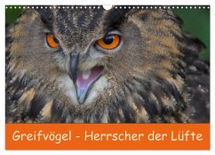 Greifvögel - Herrscher der Lüfte (Wandkalender 2024 DIN A3 quer), CALVENDO Monatskalender - Wejat-Zaretzke, Gabriela