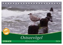 Ostseevögel (Tischkalender 2024 DIN A5 quer), CALVENDO Monatskalender - Münzel-Hashish - www.tierphotografie.com, Angela