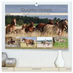 Quarter Horses - Die größte Zuchtbuchrasse der Welt (hochwertiger Premium Wandkalender 2024 DIN A2 quer), Kunstdruck in Hochglanz - Mielewczyk, B.