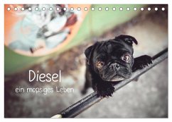Diesel - ein mopsiges Leben (Tischkalender 2024 DIN A5 quer), CALVENDO Monatskalender